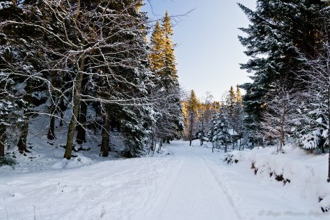 Camino, en el Fløyen, totalmente nevado.
