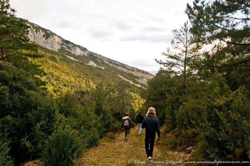 Mis amigos y yo caminando por el parque natural.