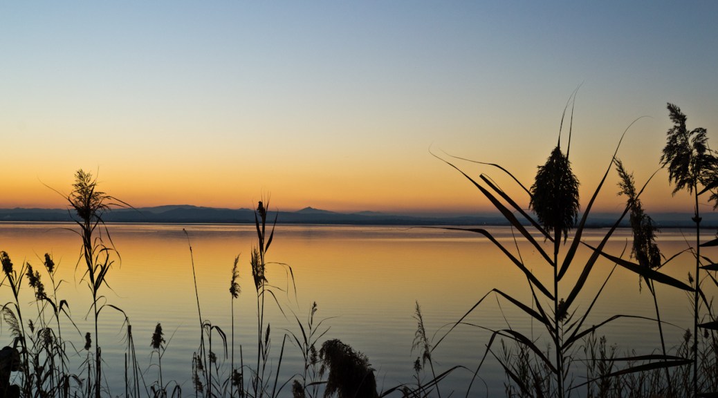 Parque Natural de l'Albufera de Valencia durante un atardecer.