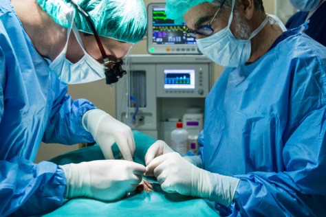 "Alejandro Elson y J.Rodríguez durante la intervención - Diego Moreno Delgado"