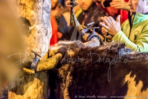 11146287_560188507457262_4157036986055343017_n